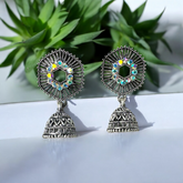 Dazzling Heart Earrings-ER07